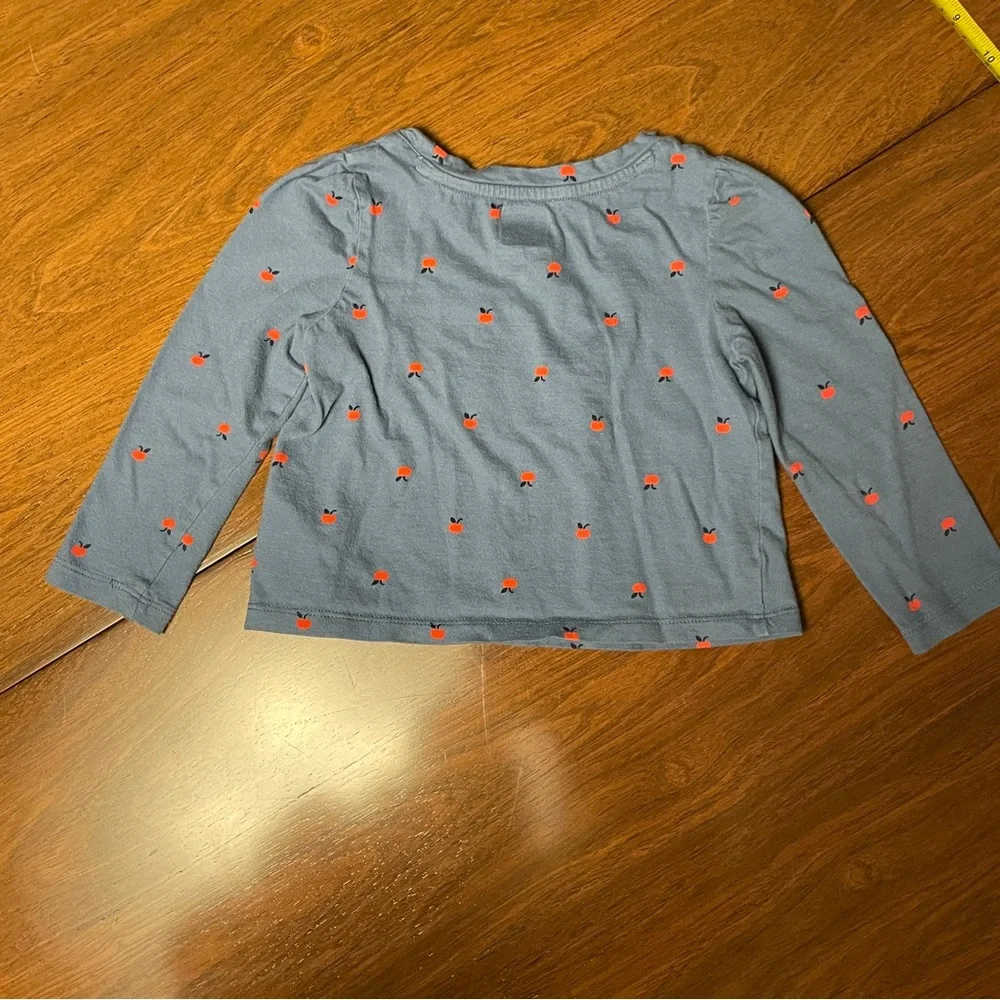 GAP Long Sleeve Blue Tee with Red apples. Size 2 years, 2T.